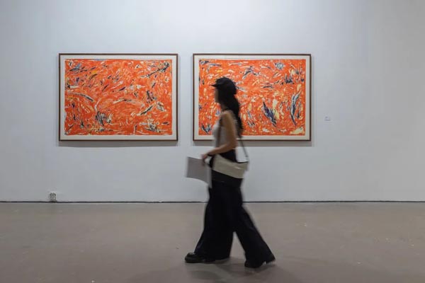 “玛莉·德维尔潘：太阳背后”在今日美术馆开幕
