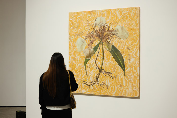 人民艺术 |  “混成：王郁洋个展”于798CUBE开幕 探讨人类、自然与机器之间的多重关系 