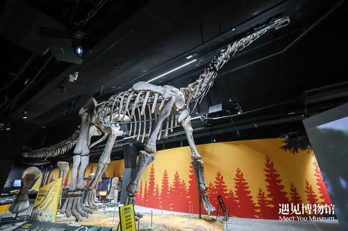 人民艺术 |  《遇见白垩纪：恐龙化石特展》北京首展启幕，超650件国宝级化石重现史前盛景