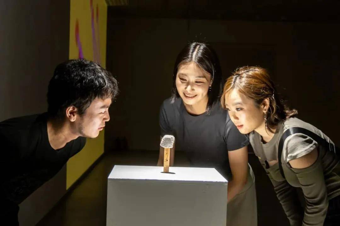 人民艺术 |  奇格：中韩国际交流展在北京宋庄当代艺术文献馆开幕 